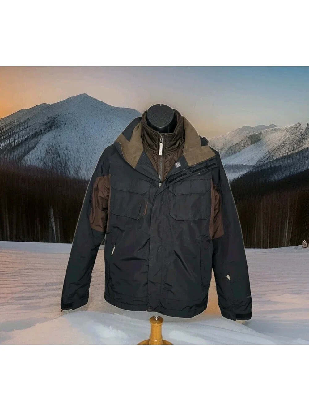 The North Face north face
